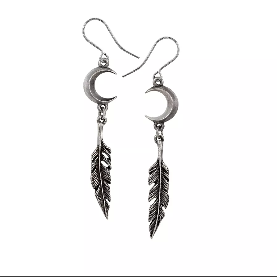 Pagan Dream Catcher Earrings