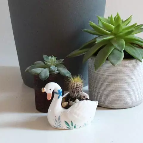 Secret Garden Swan Egg Cup